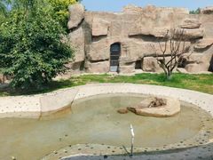 -齐齐哈尔龙沙动植物园