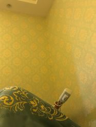 -本真坊美容美体沙龙