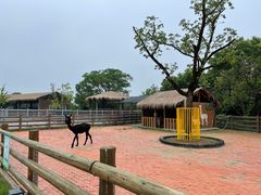 -苏州太湖西山岛开心农场