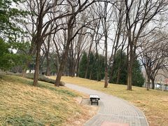 -玲珑塔公园
