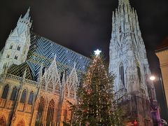 -斯蒂芬主教座堂(Stephansdom)
