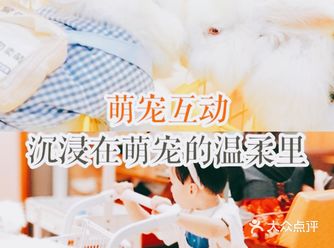 萌宠互动，沉浸在萌宠的温柔里。