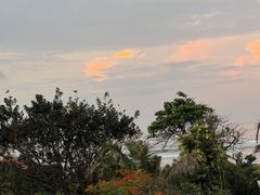 -乌布德传统市场