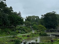 -东莞植物园
