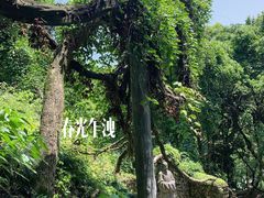 -严子陵钓台(富春江小三峡)