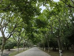 -上海鲜花港