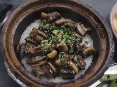 -红星光发煲仔饭(大石街店)