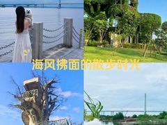 -芒洲湿地公园