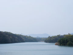 -佛手湖郊野公园