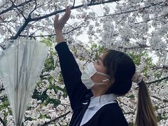 -西北湖绿化广场