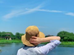 -荷塘月色湿地公园·向阳花洲
