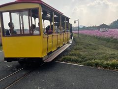 -径山花海