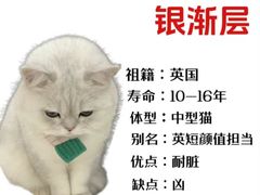 -守诺宠物医院·眼科· 特色牙科·异宠专科(虹口店)