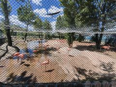 -鄂尔多斯野生动物园