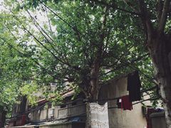 -袁大头包子(光华路店)