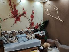 -大观园影院式足浴Spa店(沙坪坝店)