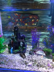 -酷嗒动物文化乐园(cutezoo西溪乐天城店)