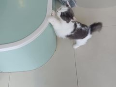-怪兽屋·羊驼·猫咖·狗咖(俊华广场店)
