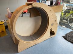 -伟伟宠物医院·瑞派猫友好医院·猫科(光谷店)