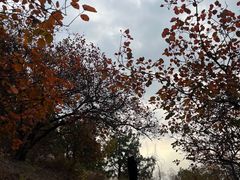 -北京西山国家森林公园