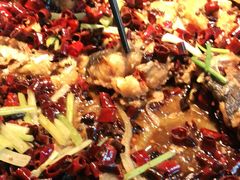 -老板恋上鱼(恒隆广场店)