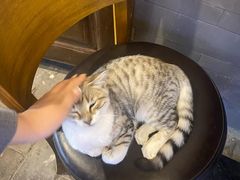 -小厨子私房菜·云南美食店