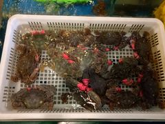 -旺角小渔村(幸福中路店)