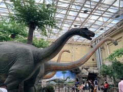 -国家自然博物馆