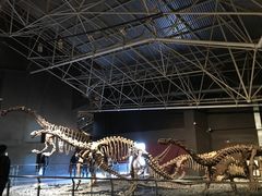 -世界恐龙谷景区