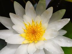 -镇江市南山风景名胜区竹林景区