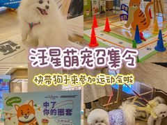 -金茂览秀城