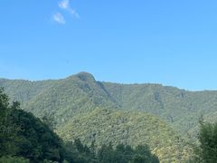-石台牯牛降景区
