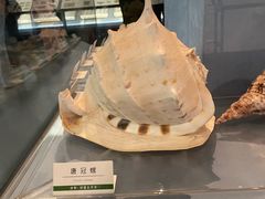 -浙江自然博物院(杭州馆)