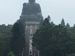 -宝莲禅寺