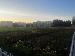 -东北农业大学