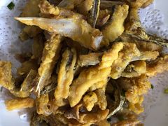 -鲤鱼塘农家山庄