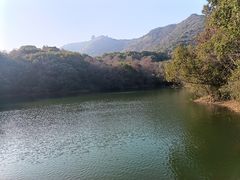 -杭州半山国家森林公园