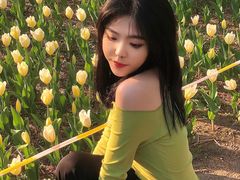 -长春公园(普阳街道)