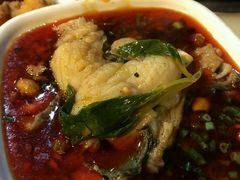 -蜀滋香鲜鱼美蛙火锅(339店)