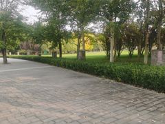 -大望京公园