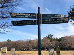 -三鹰之森吉卜力美术馆