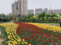 -咸阳湖景区