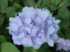 -常州古运河南大街文化旅游区-人民公园