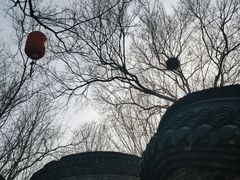 -朴园