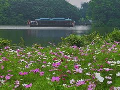-海珠湖公园