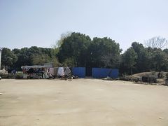 -胜丰草莓采摘园