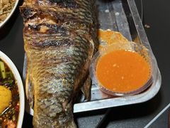 -玛扎烧烤私房菜