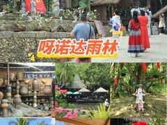 -呀诺达热带雨林