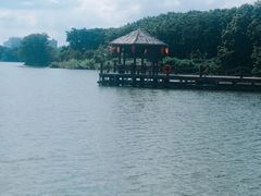 -海珠湖公园