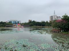 -映月湖公园
